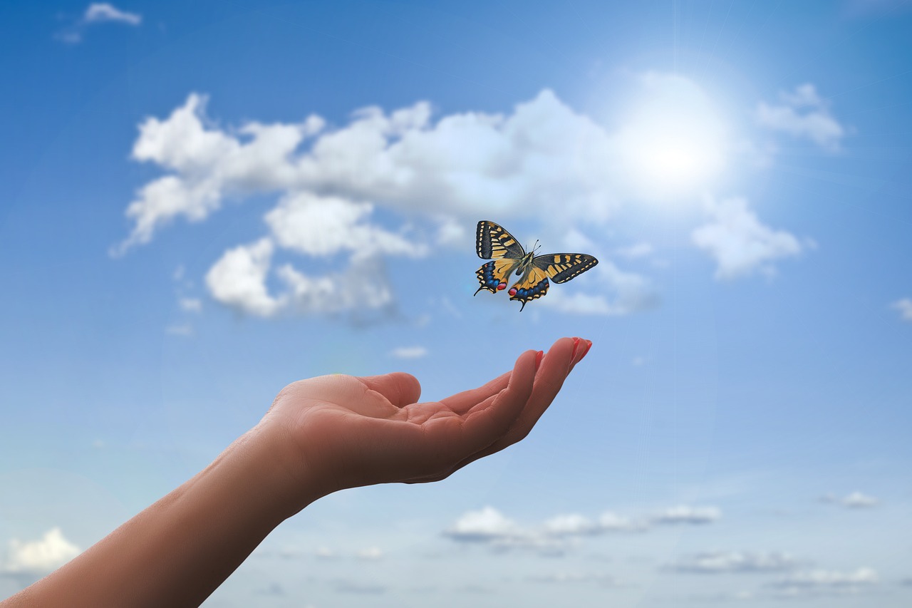 imagen de una mariposa volando con una mano debajo y el cielo de fondo